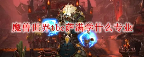 魔兽世界tbc萨满学什么专业