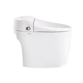 箭牌坐便器价格