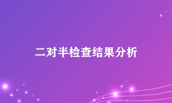 二对半检查结果分析