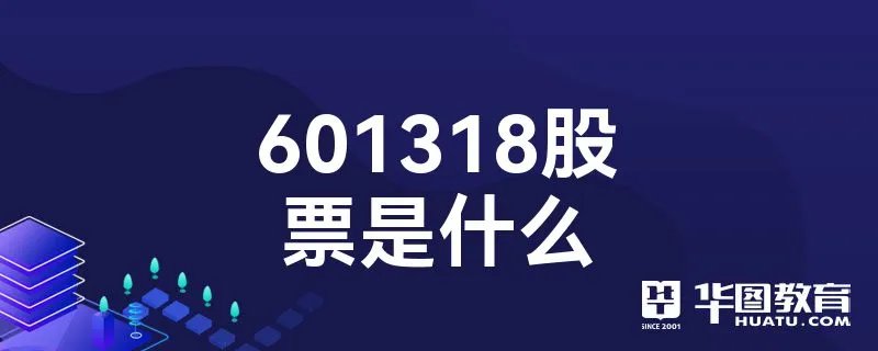 601318股票是什么