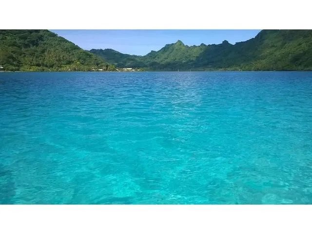 第一次去大溪地旅游的话需要带多少钱？