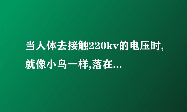 当人体去接触220kv的电压时,就像小鸟一样,落在架空线上。人会被电死吗,