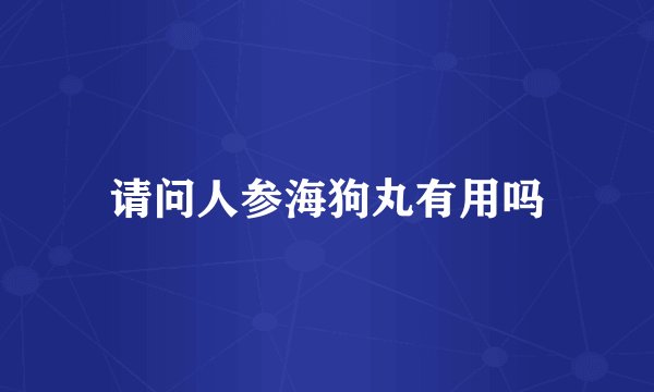 请问人参海狗丸有用吗