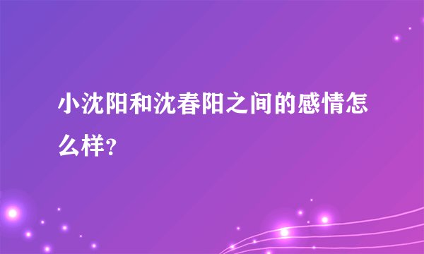 小沈阳和沈春阳之间的感情怎么样？