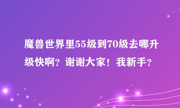 魔兽世界里55级到70级去哪升级快啊？谢谢大家！我新手？