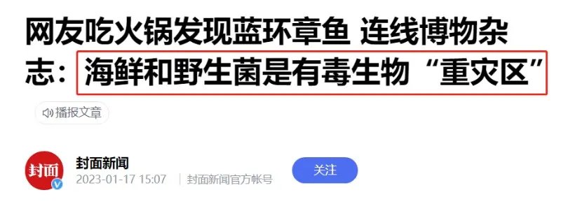 含有剧毒的蓝环章鱼 正在悄悄混入市场