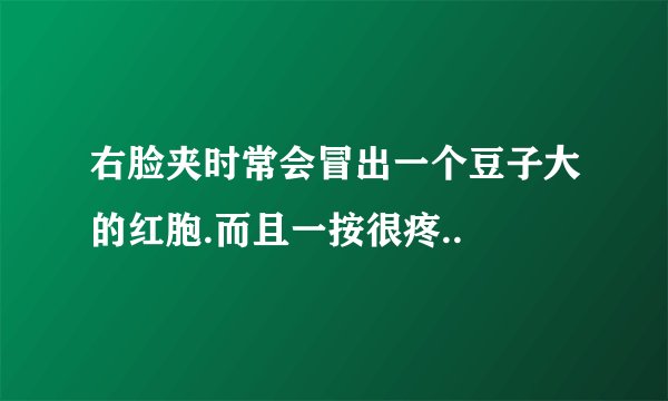 右脸夹时常会冒出一个豆子大的红胞.而且一按很疼..