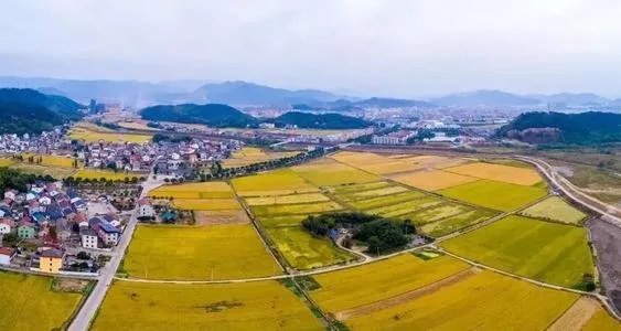 建议鼓励城市离退休人员告老还乡，这样的建议是出于什么目的？