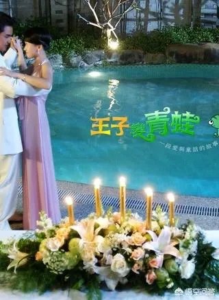 明道主演的电视剧有哪些?