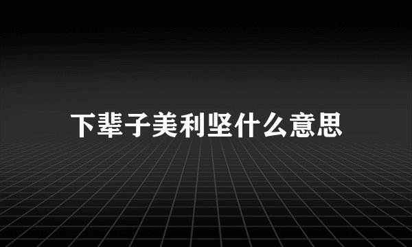 下辈子美利坚什么意思
