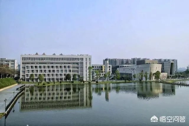 有哪些985、211大学的分数比较低？