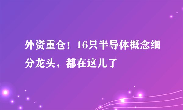 外资重仓！16只半导体概念细分龙头，都在这儿了
