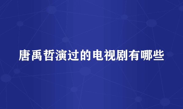唐禹哲演过的电视剧有哪些