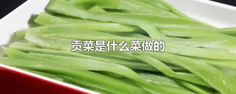 贡菜是什么菜做的