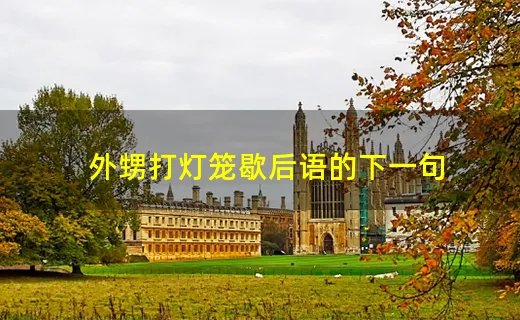 外甥打灯笼歇后语的下一句