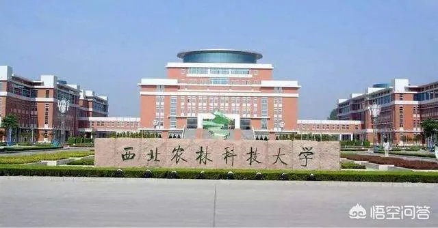 有哪些985、211大学的分数比较低？