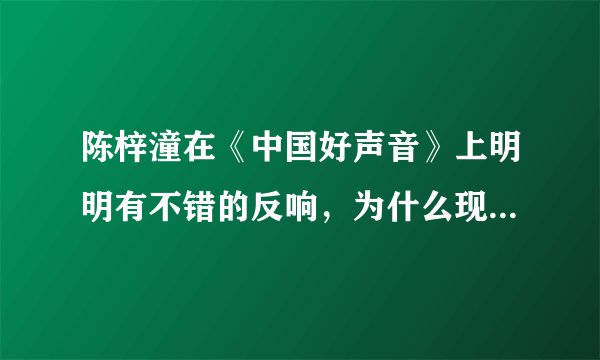 陈梓潼在《中国好声音》上明明有不错的反响，为什么现在却不见踪迹？