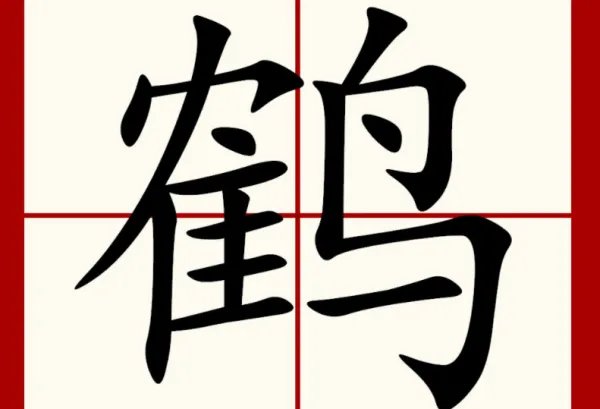 鹤的拼音组词部首