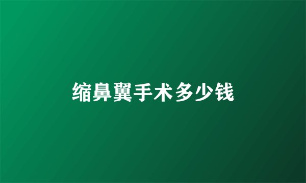 缩鼻翼手术多少钱