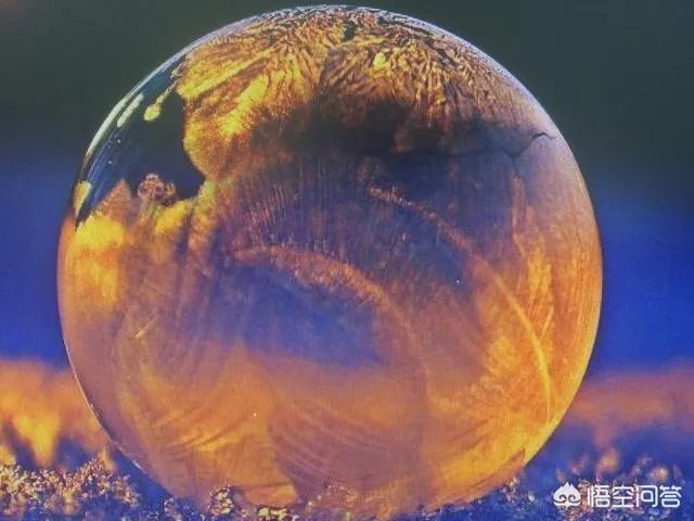 企业的诚信是什么？