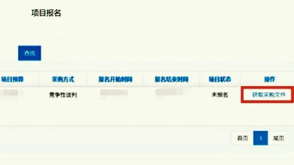 上海市政府采购网上的招标怎么网上投标？