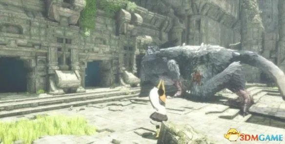 最后的守护者剧情是什么 最后的守护者剧情详解