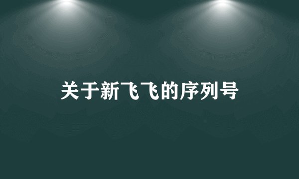 关于新飞飞的序列号