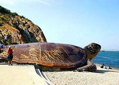 大连东海公园的基本情况