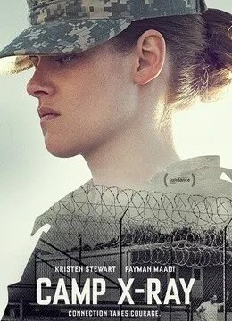 佩曼·莫阿迪的介绍