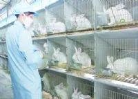 江油有那些特产？