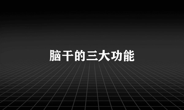 脑干的三大功能