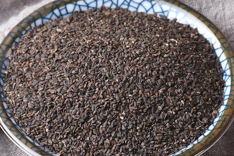 车前草功效图片