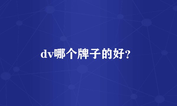 dv哪个牌子的好？