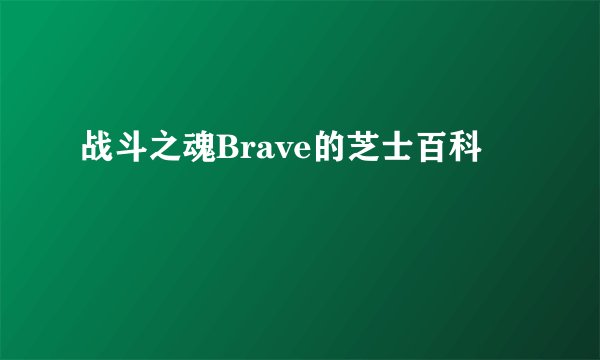 战斗之魂Brave的芝士百科