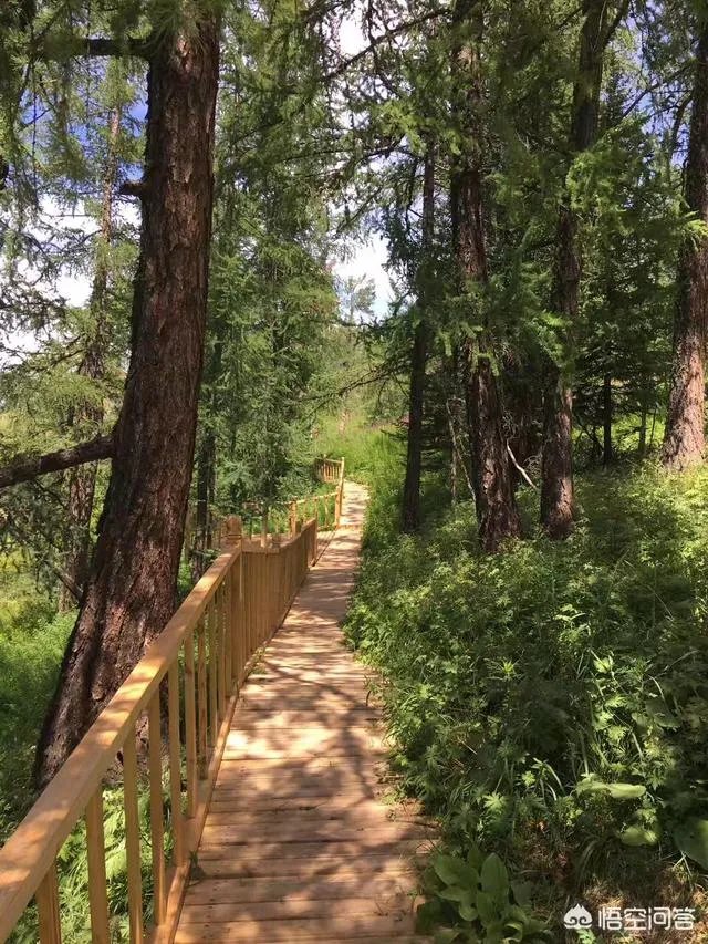 喀纳斯的风景如何?