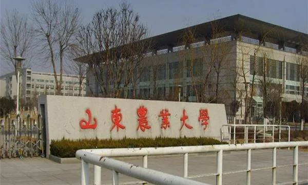 山东农业大学南校区有多少学生