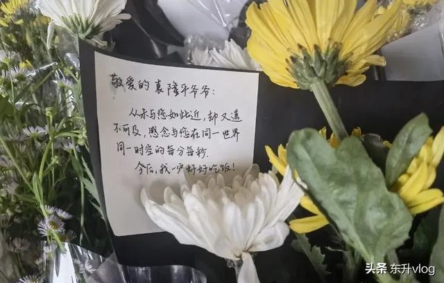 袁隆平院士逝世，为什么张庭照常直播被网友骂哭？