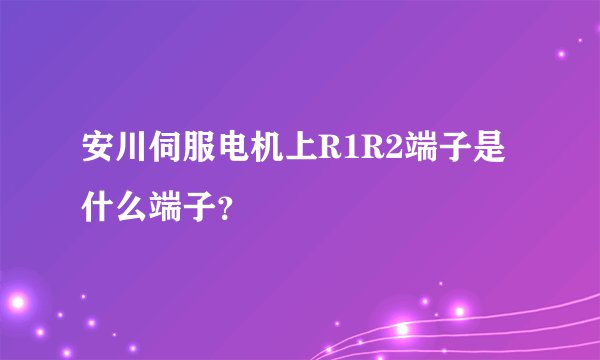 安川伺服电机上R1R2端子是什么端子？