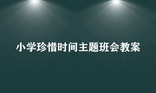 小学珍惜时间主题班会教案