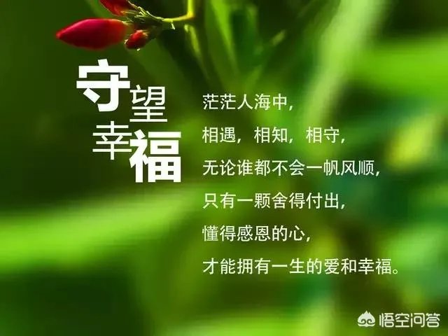 有哪些比较唯美带文字的头像可以分享？