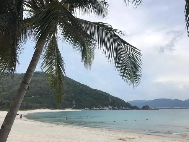 三亚湾和亚龙湾，哪个更好一些？