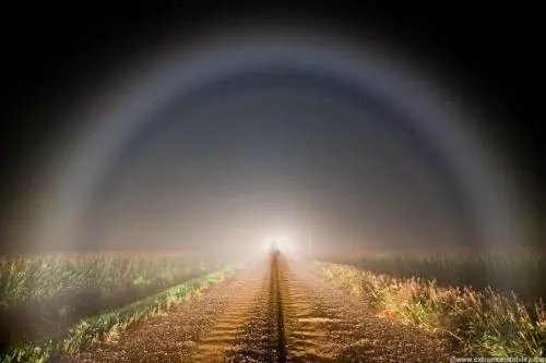 holy的中文是什么意思