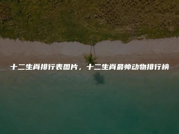 十二生肖排行表图片，十二生肖最帅动物排行榜