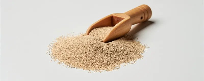 酵母粉是什么 	酵母粉是什么做的