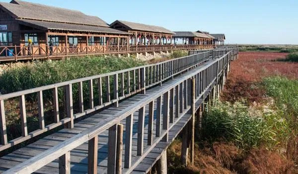 去沈阳自驾游，有哪些景点不容错过？