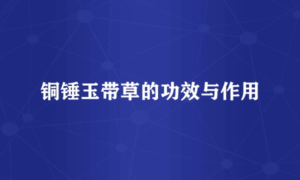 铜锤玉带草的功效与作用