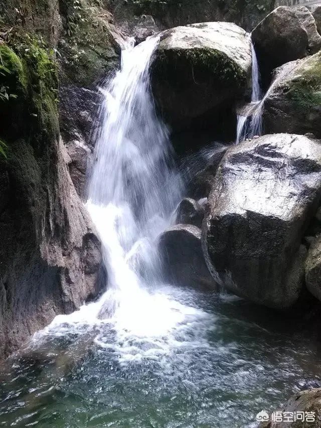 韶关国家森林公园值得去玩吗？