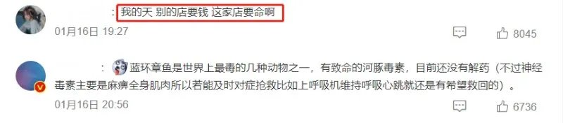 含有剧毒的蓝环章鱼 正在悄悄混入市场