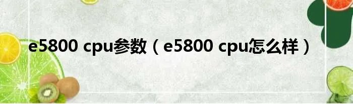 e5800 cpu参数（e5800 cpu怎么样）