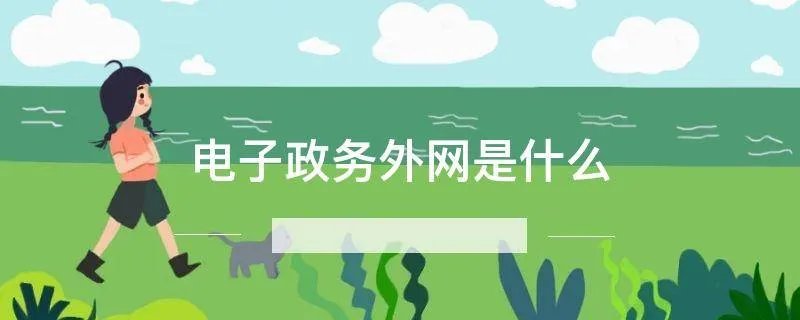 电子政务外网是什么